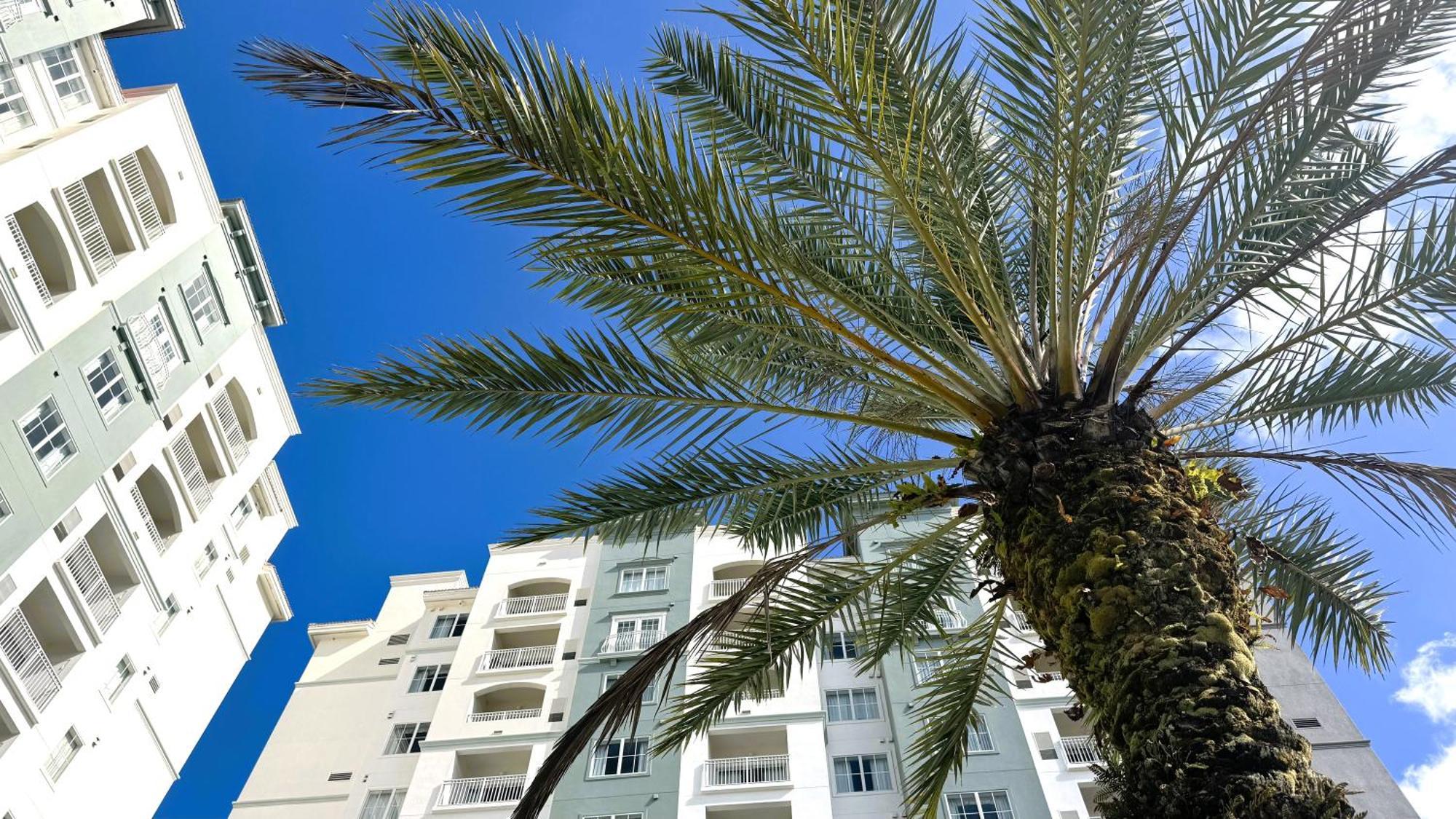 The Point Hotel & Suites Universal Orlando Luaran gambar