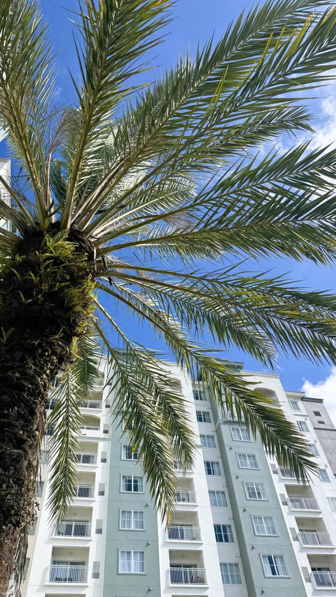 The Point Hotel & Suites Universal Orlando Luaran gambar